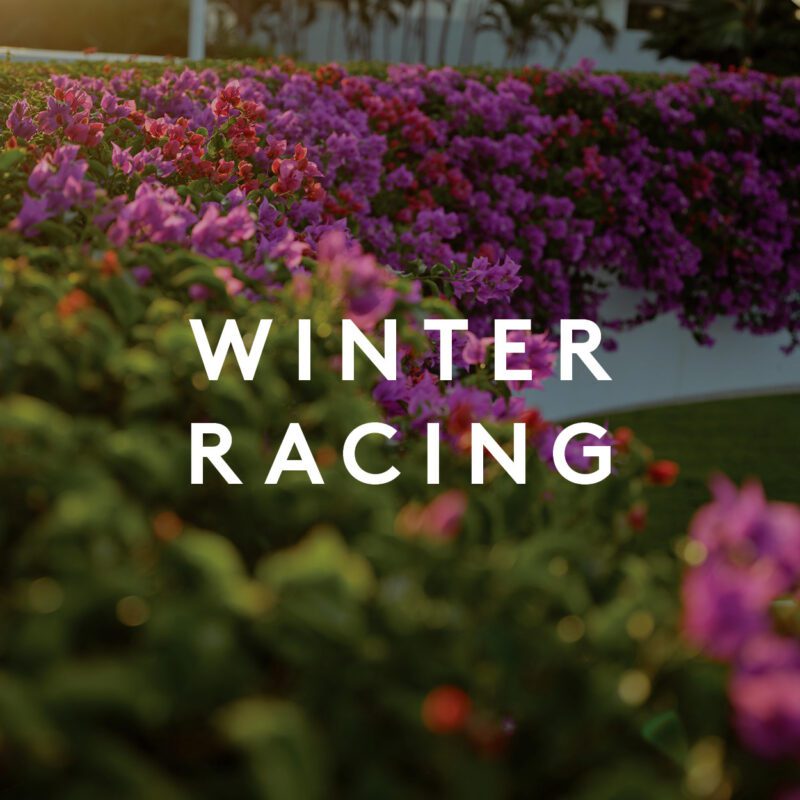 The Ville Winter Racing Season